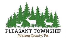 Pleasant Township